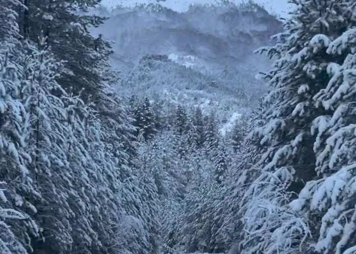 Hébergement de vacances Ria *